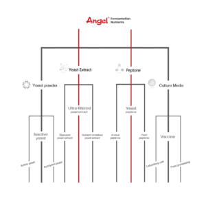 Fermentation Nutrients