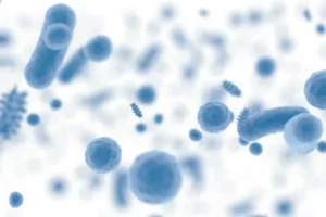 Fermentation Nutrients