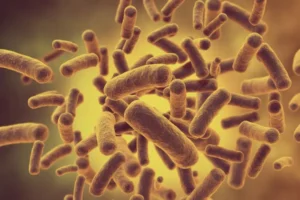 Fermentation Nutrients