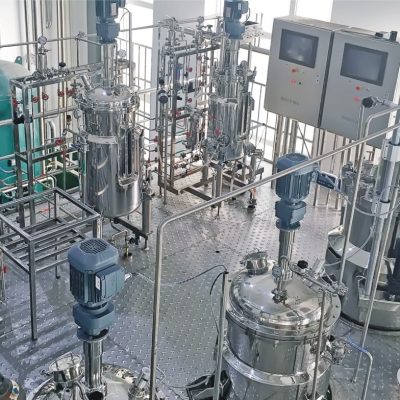 Custom Bioreactor Systems